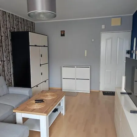Modern Grun Daire *